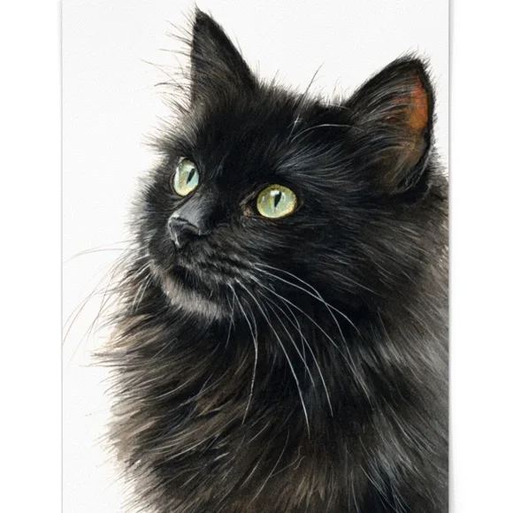 Watercolor Siberian Black Cat Art Print Illustartion - Pet Portrait - Unframed - Picture 2 of 6